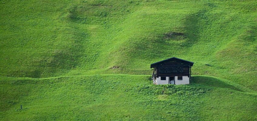 Sustainable Business Practices: Why Going Green is Good for Growth